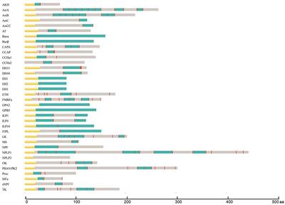 Identification and Characterization of Neuropeptides and Their G Protein-Coupled Receptors (GPCRs) in the Cowpea Aphid Aphis craccivora